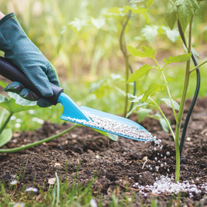 View Plant Fertiliser